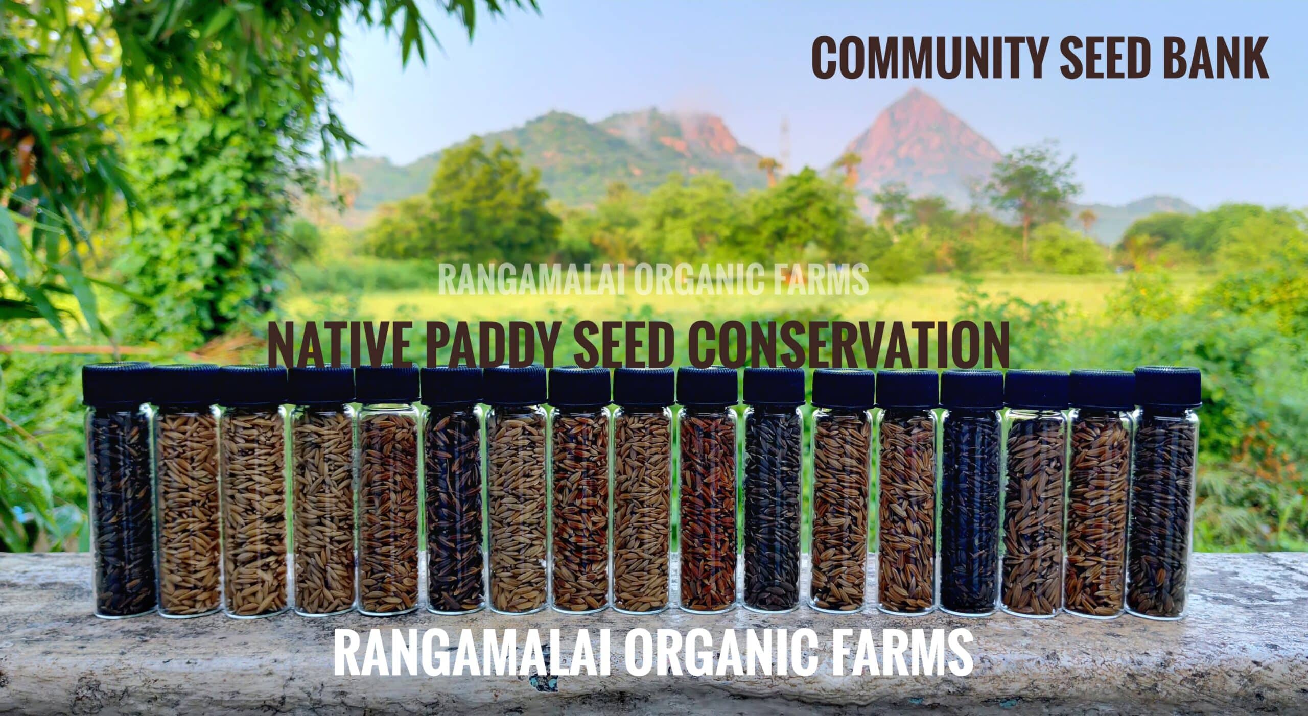 Community Seed Bank for Native Seeds